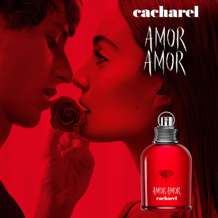 Amor Amor