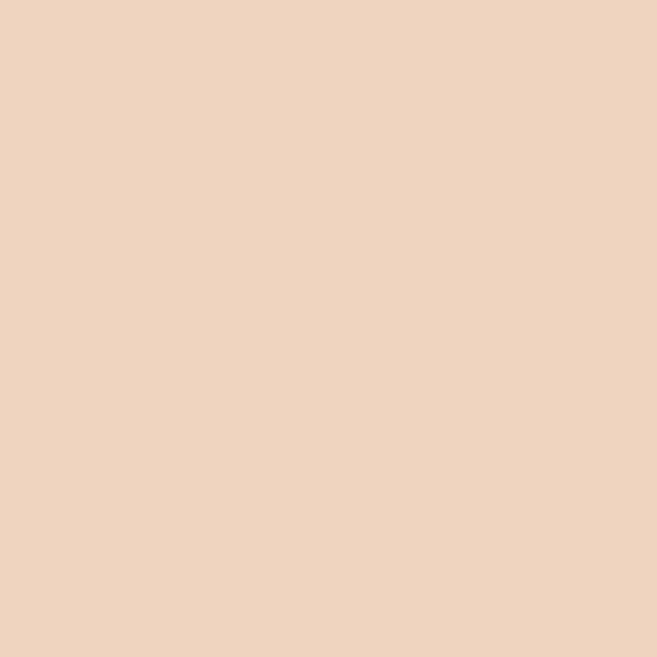 Perfect Matte Serum Foundation
